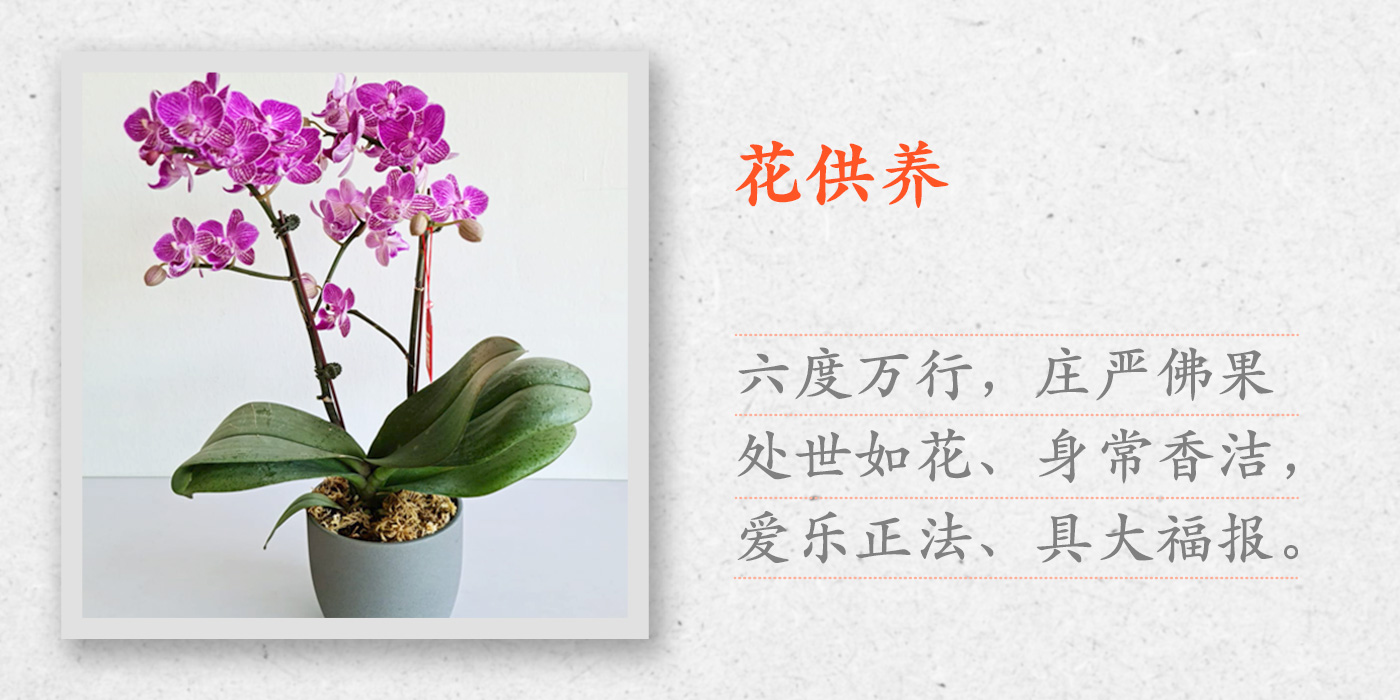 慈悲三昧水忏法会 佛前献供 法鼓山新加坡护法会 慈悲三昧水忏法会 佛前献供 法鼓山新加坡护法会